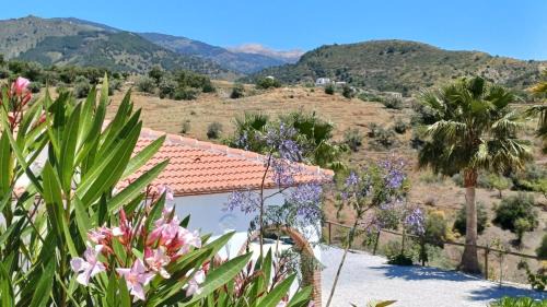 Sedella House | 2 Bed 2 Bath Villa Near Sedella Heatable Saltwater Pool