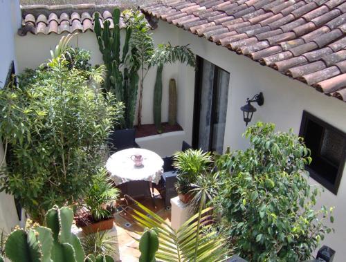 El Guincho Apartment | Apartment mit kleiner Innenhof-Terrasse im rustikalen Stil
