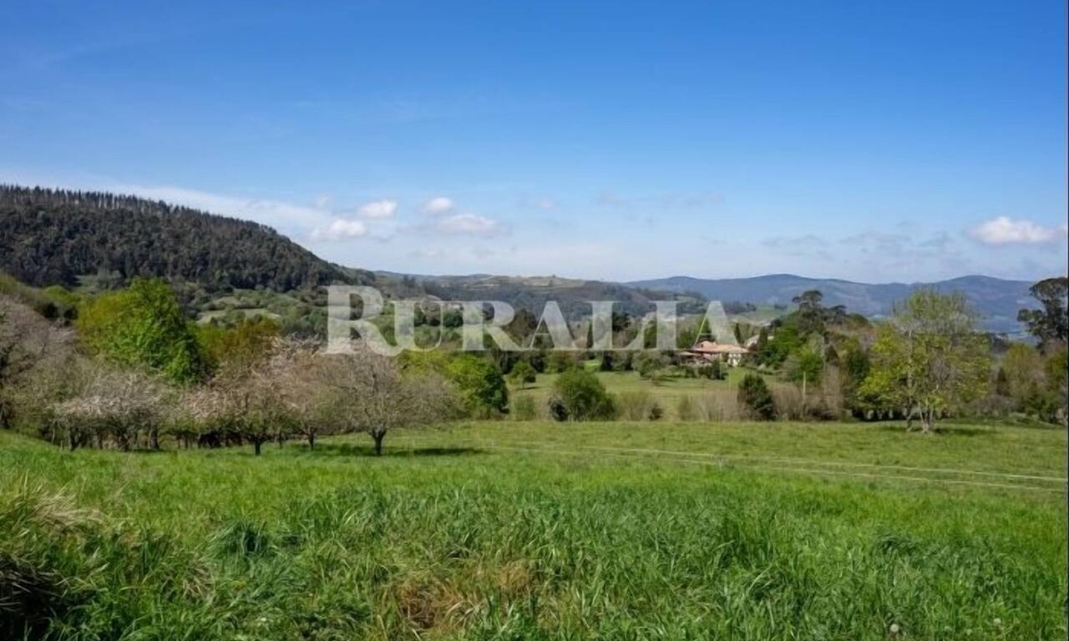 Cabranes Municipality House | Apto La Espina 2 - rural apartment in Celada (Villaviciosa)
