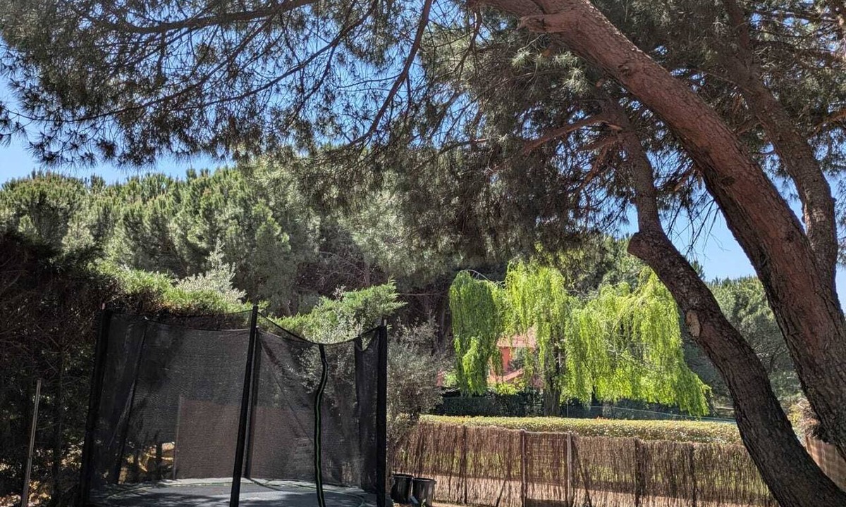Galapagar House | August in the Madrid Mountains
