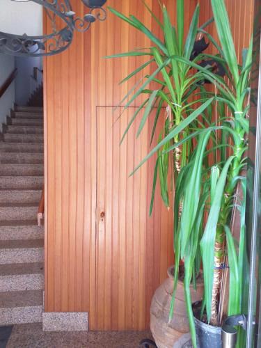 Zamora Apartment | Biblioteca municipal