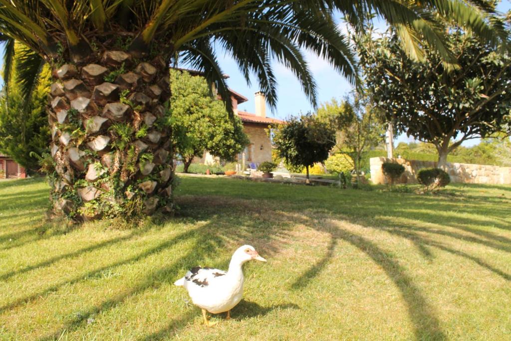 Lloreda Bed & Breakfast | Casa Torreteyera