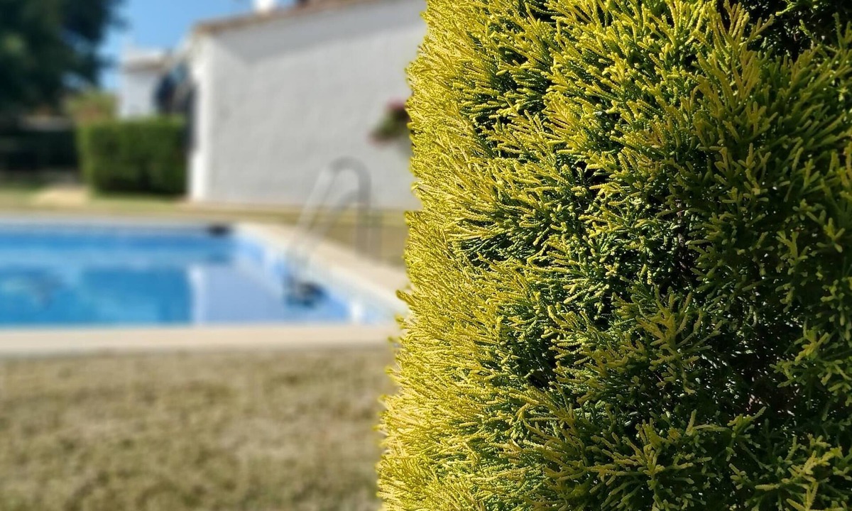 San Pedro de Alcantara Villa | Del Parque Flats Picasso Townhouse