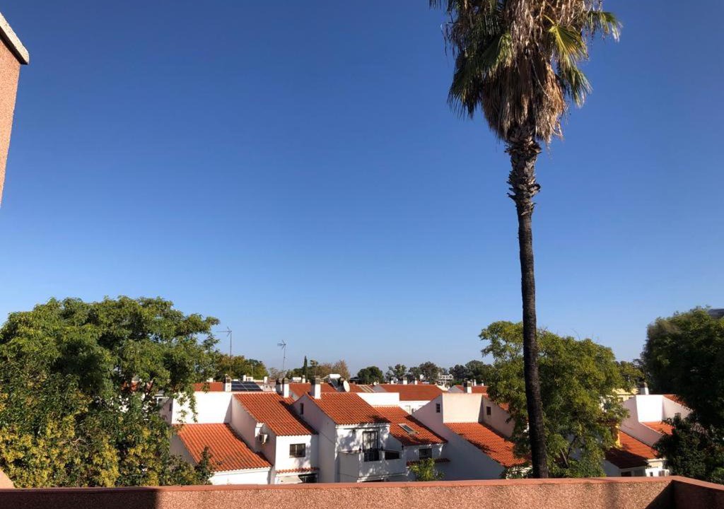 Sevilla Este House | Familia Anfitriona acoge terraza