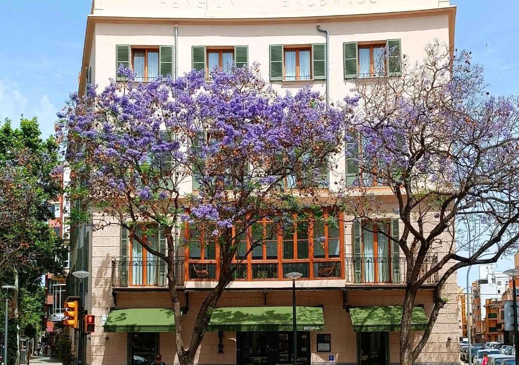 Pere Garau Hotel | Nou Baleares