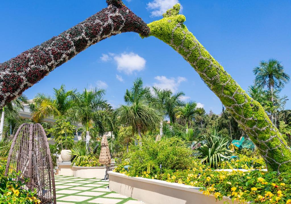 La Caleta Hotel | Royal River, Luxury Hotel - Adults Only