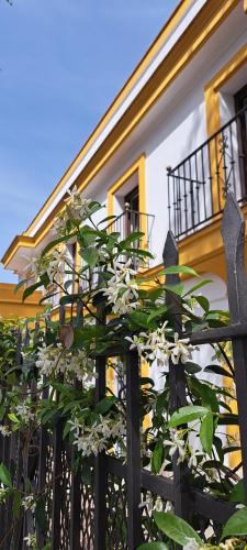 Jerez de la Frontera Old Town Apartment | Villa Marcel