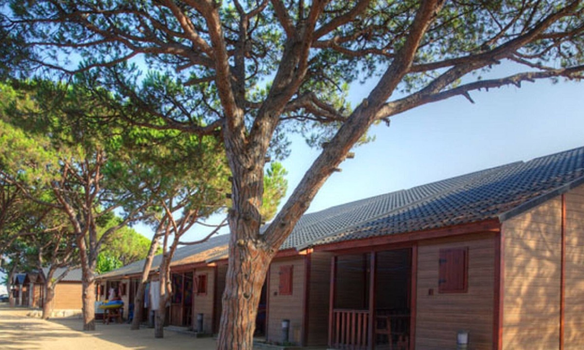 Santa Susanna Ski Chalet | Wooden chalet with a nice covered terrace, near the beach