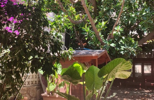 Cabo de las Huertas House | A unique house with a garden, very close to the beach
