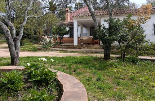 Aracena House | Alojamientos Cabezo del Gato