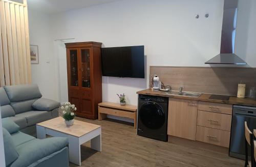 Avila Apartment | ApartamentosTuristicos Avila Puerta del Alcazar 0-1
