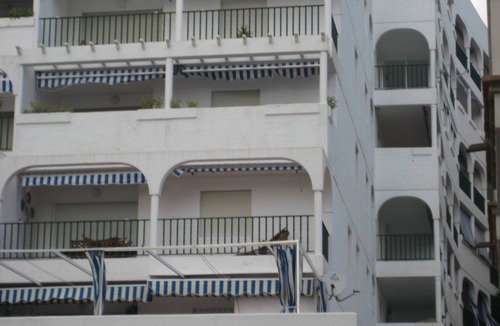 La Herradura Apartment | Apartment in La Herradura (Special Offer)