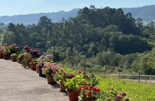 Ribadedeva House | Casa La Pereda - country house in Noriega (Ribadedeva) | 6 guests