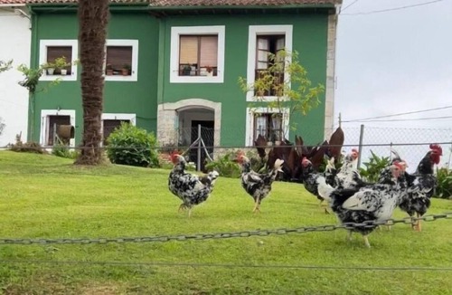 Ribadedeva House | Casa La Pereda - country house in Noriega (Ribadedeva) | 6 guests