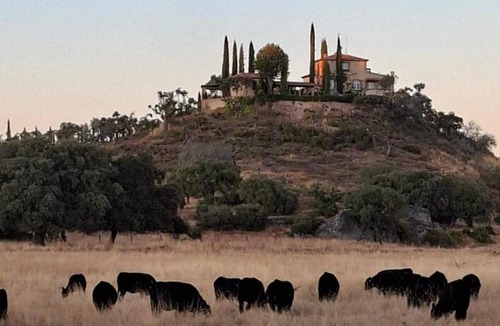 San Pelayo de Guarena House | Casa Rural La Quintina en Salamanca con piscina privada