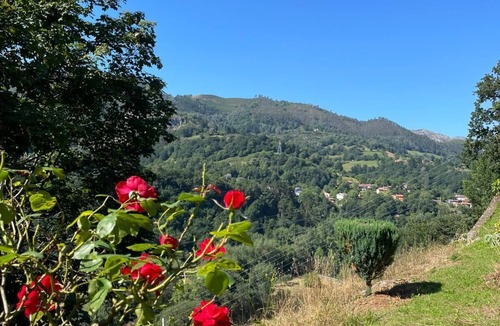 Narciandi House | House with views to Picos de Europa at 5' from Cangas de Onis