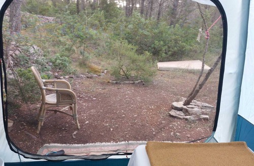 Santa Gertrudis RV Rental | La Carpa Bouddha au Cœur de la Forêt