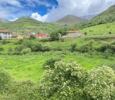 Arenas de Cabrales Apartment | La Serna