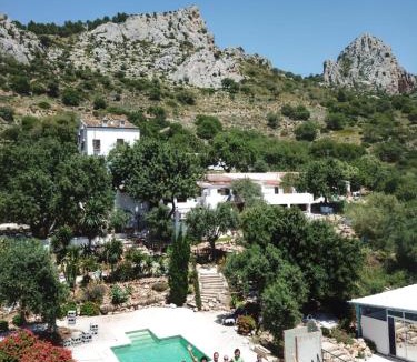 El Chorro House | Olive Branch El Chorro