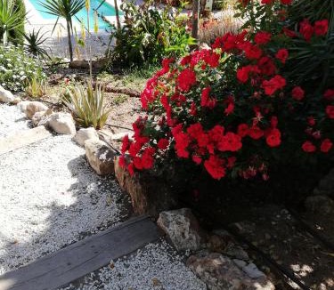 El Chorro House | Olive Branch El Chorro