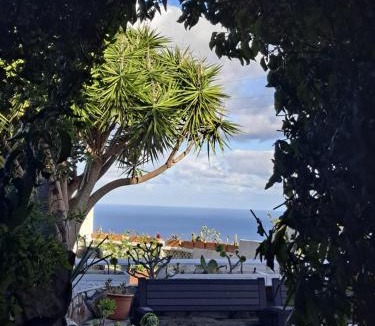 Santa Barbara Apartment | Tenerife apartment 100m2 CASA DE DON QUIJOTE with a terrace of 100m2 with a view of the ocean and Teide volcano and a garden of 600m2