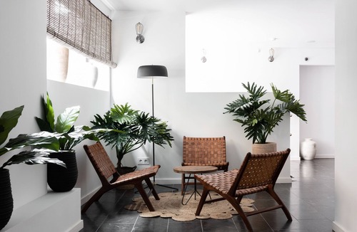El Terreno Apartment | Terreno Suites