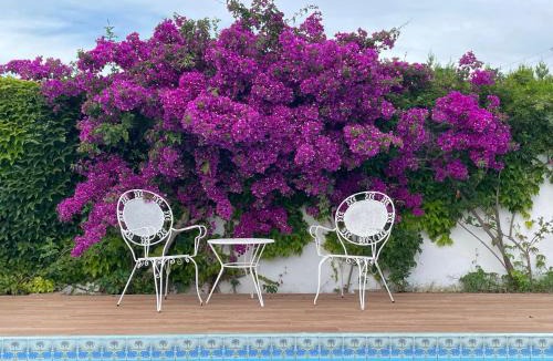 Les Palmeres Villa | Villa Can Llompart Port de Pollensa