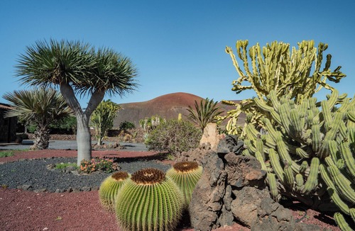 Lajares Villa | Villa Pangur-Bán