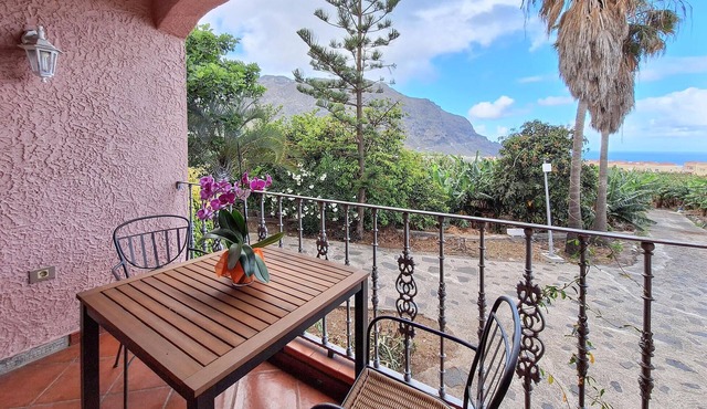 2 bedroom amazing home in Buenavista del Norte