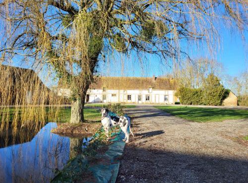 Appartement Loft Le Haras d'Agathe et ses princes in Mandres