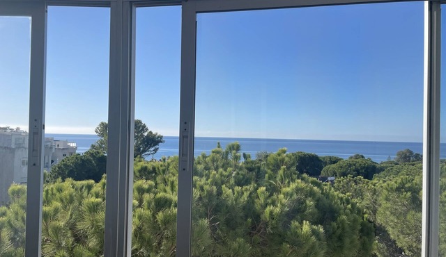 Beautiful coast