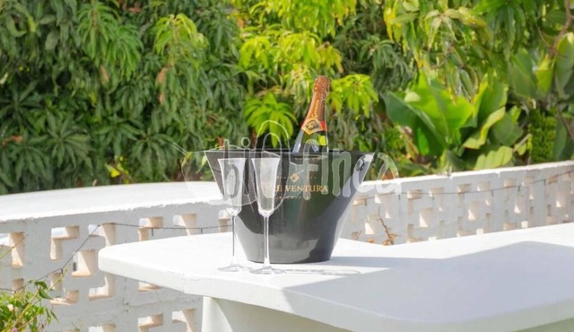 BioFinca: Rustic Villa in Exclusive Finca surrounded by nature in Tenerife South