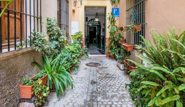 Canaries Sweet Home by SevillaLuxurySuites