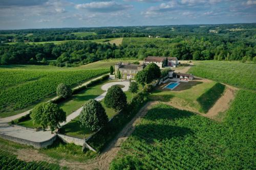 Château 14e siècle vue panoramique vignes et piscine in Le Tourne