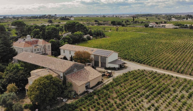 Charming house in an organic wine estate in Frontignan