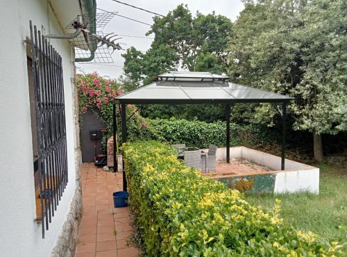 El capricho de la Providencia