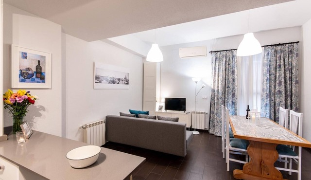 El Chato Madrid 1 bedroom apartment