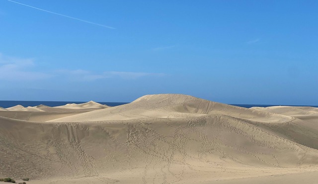 Excl. Bungalow at SunClub Maspalomas-renovated, sustainable & full of privacy.