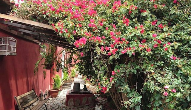 Homerez - House in La Sabinita