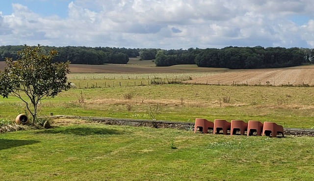 Large capacity gîte in champagne.pets welcome! in Corrobert