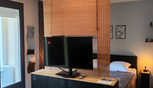 LARGE STUDIO - CLOSED LOGGIA - SHOWER - AIR CONDITIONING - BED 160 - RENOVATED in AMELIE LES BAINS
