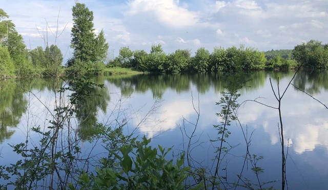 Le Grenier Occitan in Gramazie