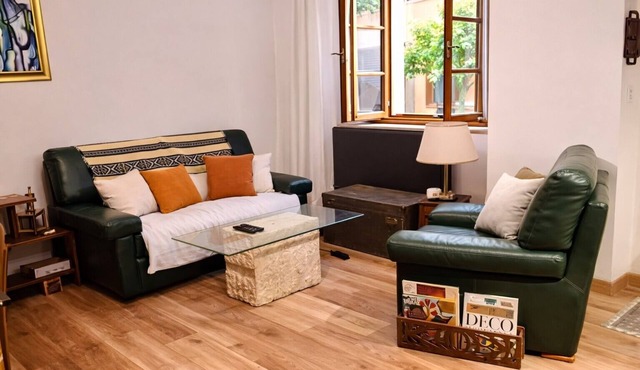 "Le Refuge Des Chauffeurs" Apartment with Wi-Fi in Romans-sur-Isère