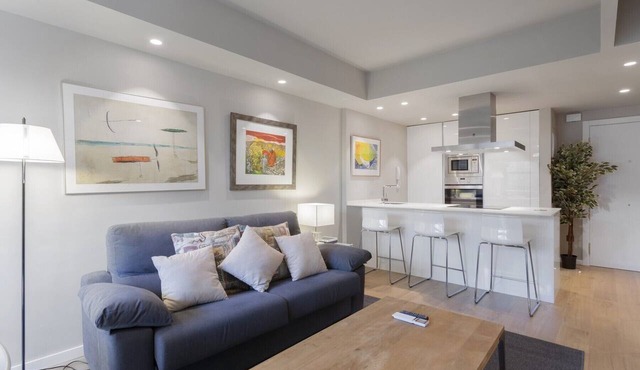 Luxury II-cozy apartment in exclusive district of Madrid