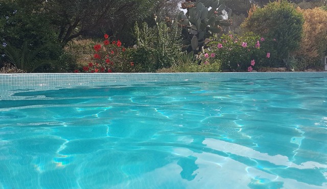 NEAR THE BEACH, beautiful detached apartment in a house with a garden and pool