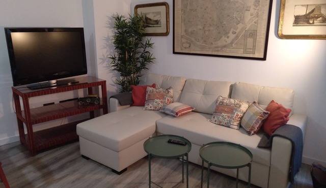 NEW APARTMENT IN HEART OF THE HISTORICAL HULL OF SEVILLE