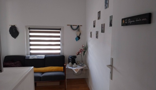Nice quiet room with adjoining living room A plus, large garden with terrace in Sausheim