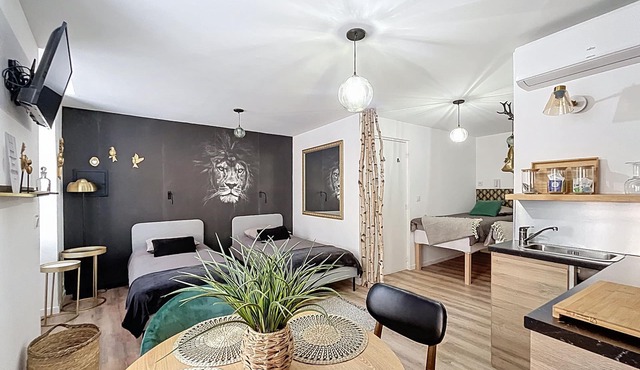 O'Bercail Studio 1- 4 single beds +bike room- in the center of Tournon sur Rhône in Tournon-sur-Rhône