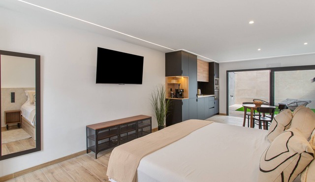 Odi Suite Room Apartment with Private Terrace and Wi-Fi