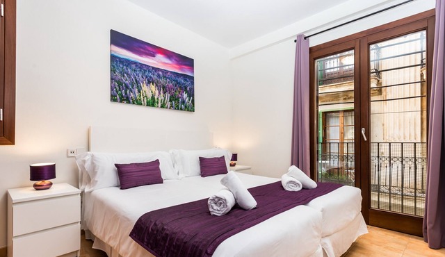 Palma OldTown Apartment, Wifi, Fully Equipped, Mallorca Suites Deluxe